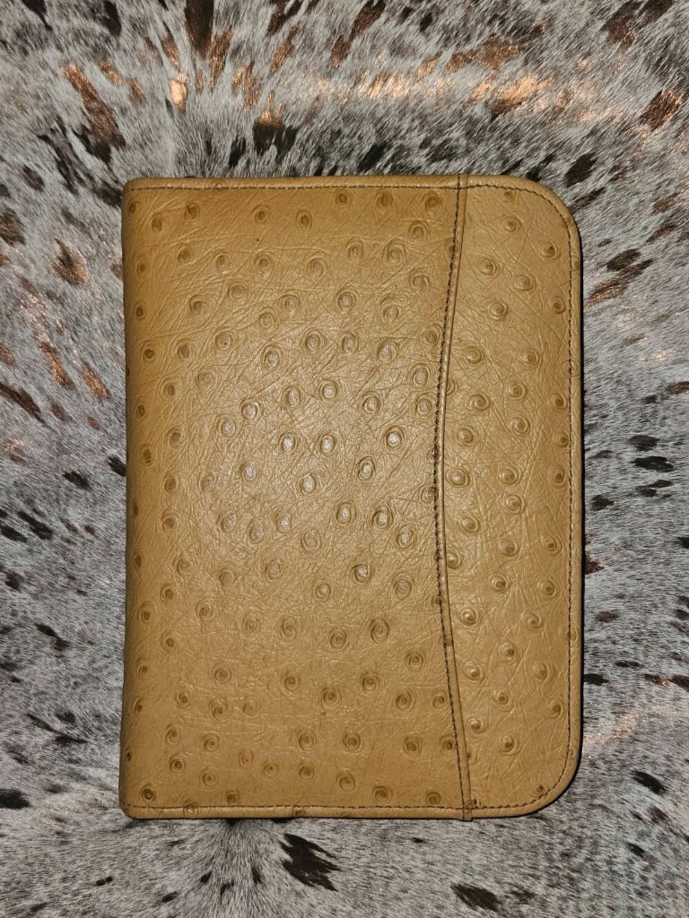 RAIKA  Smooth Quill Peanut Brittle Ostrich Day Folio